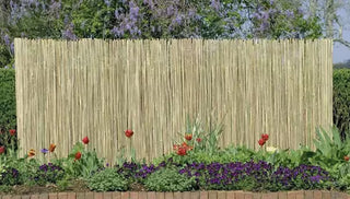 Creating a More Private Garden