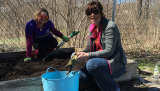 Employee Volunteerism