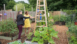 Our Team of Garden Testers