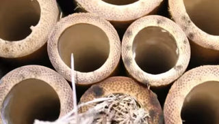 How to Mount the Mason Bee House