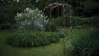 How To Design a Moon Garden