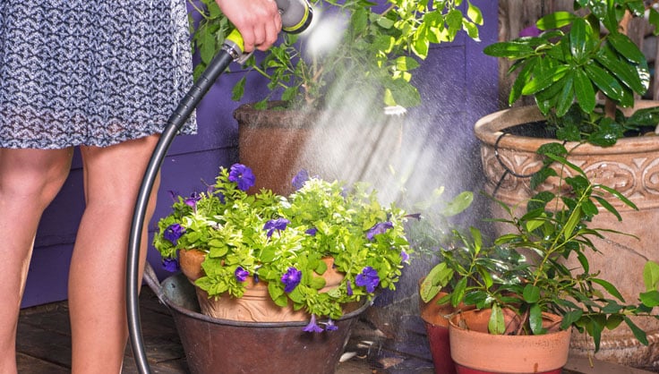 buy a plant pot Buy Delphinium Planter main image 0