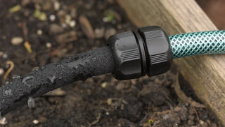 Tips for Watering While You're Away on Vacation