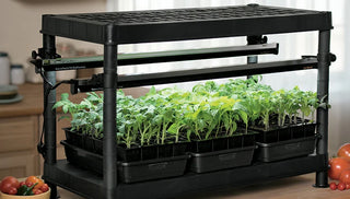 Watch: Stack-n-Grow Light System