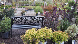 Top 5 Reasons to Plant in Fall