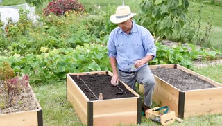 Gardening in Raised Beds: Quick Tips for Success