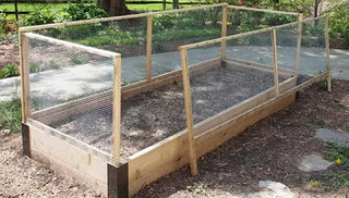Customized Corners Protect Raised Bed from Garden Pests