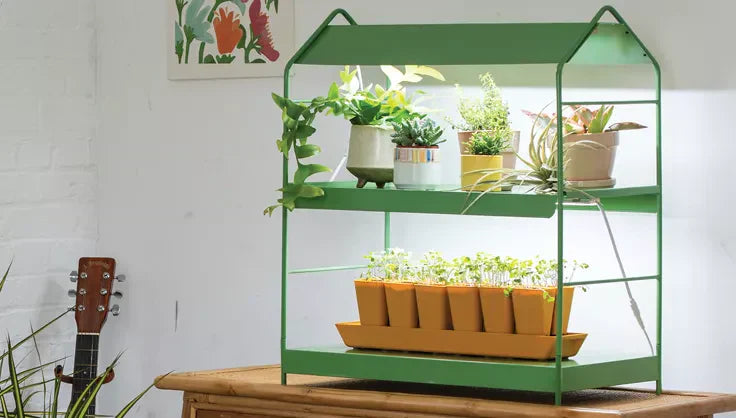 Best Grow Lights for Small Spaces | Gardener's Supply