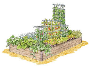 Plant It & Forget It