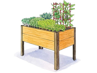 Stir Fry Garden 2' x 4'