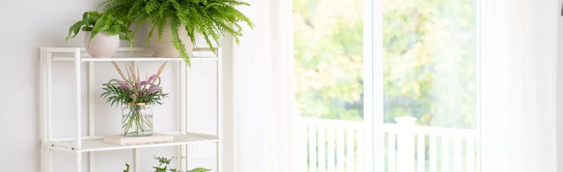 Plant Stands and Trays