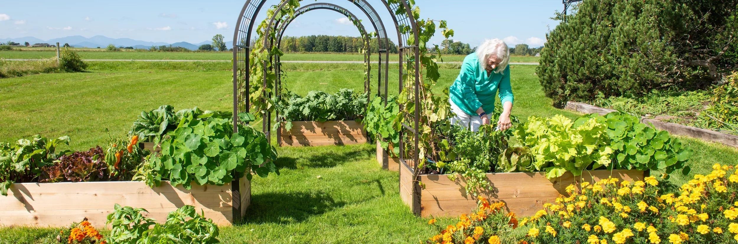 Raised Garden Beds