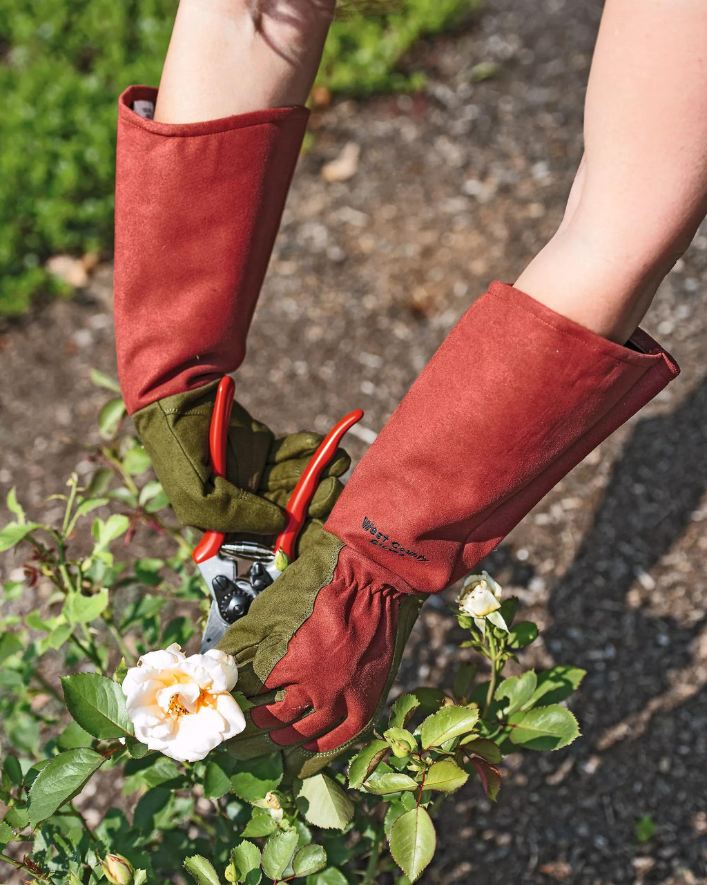 gardener leather rose gloves Rose Gloves | Medium