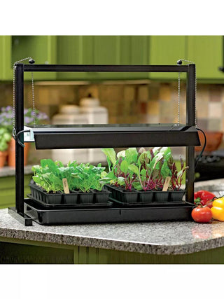SunLite® Compact Tabletop Garden