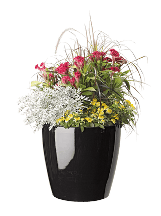 Viva Round Self-Watering Rolling Planter, 17.25” Diameter