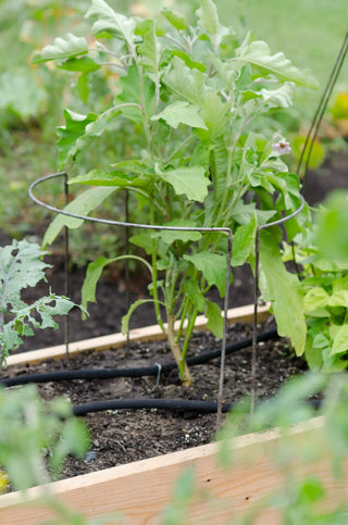 Jardin Half-Round Plant Supports, Set of 2