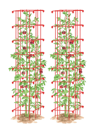 Tomato Towers, Set of 2