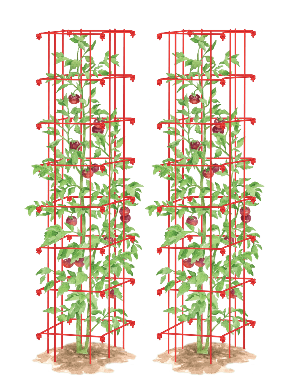 トマト タワー 8587041_TomatoTower-tif.png?v=