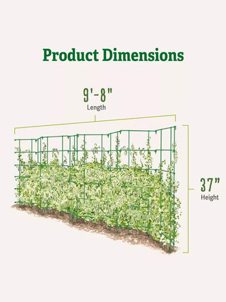 Expandable Pea Trellis
