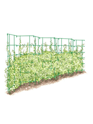Expandable Pea Trellis