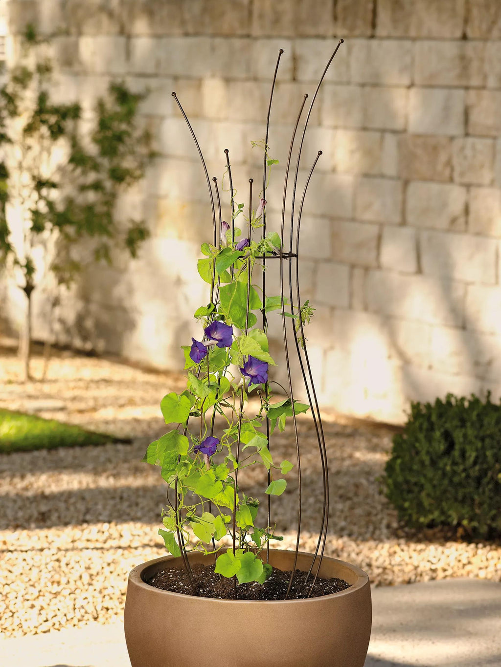 round planter with trellis Jardin Pot Trellis