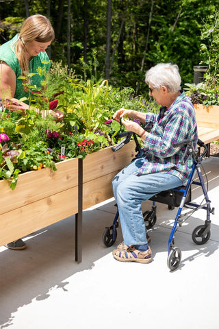 Elevated Cedar Planter Box, 2' x 8'