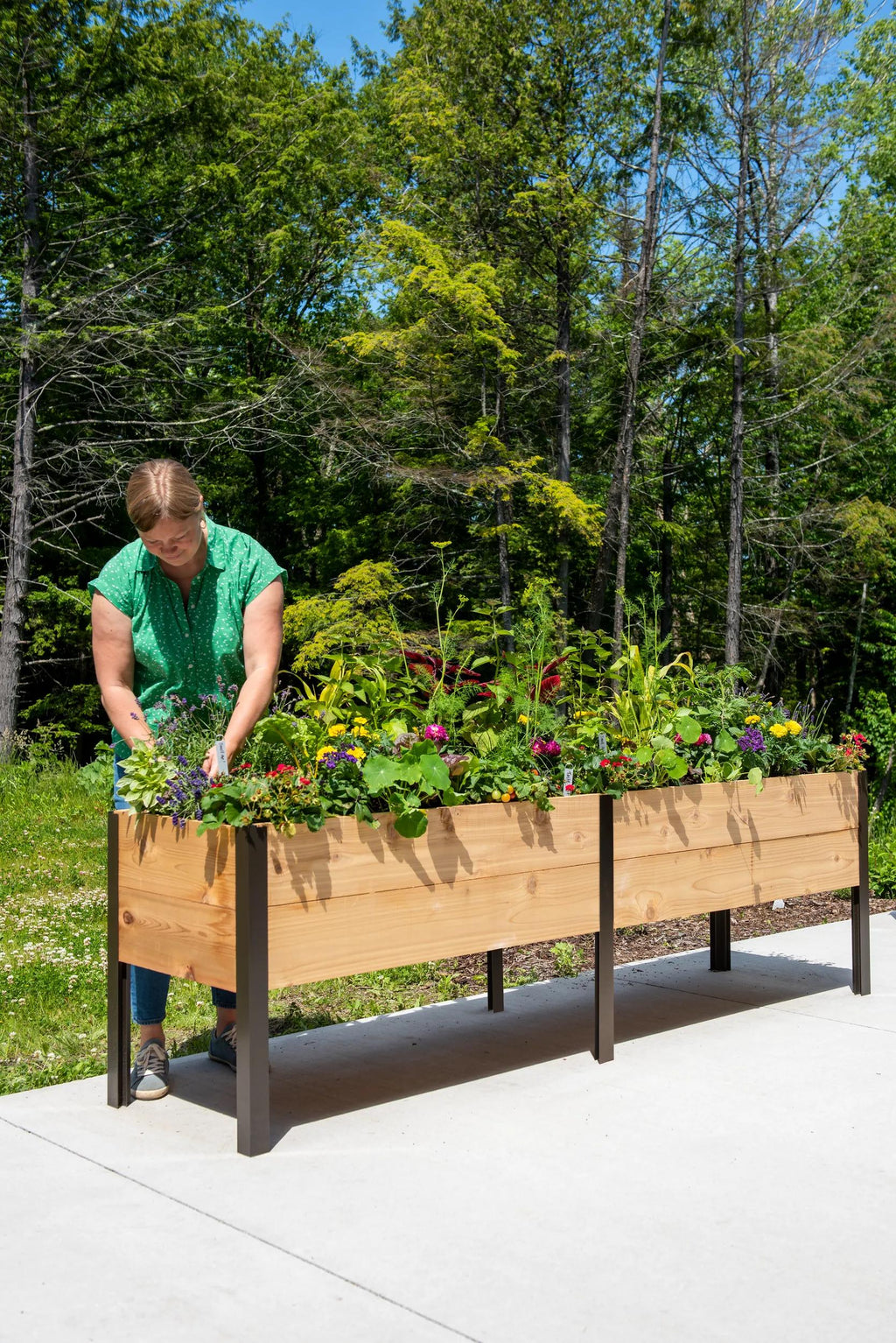 planters box near me Elevated Cedar Planter Box, 2' x 8'