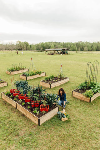 Deep Root Cedar Raised Beds, 4' Wide (14" D)