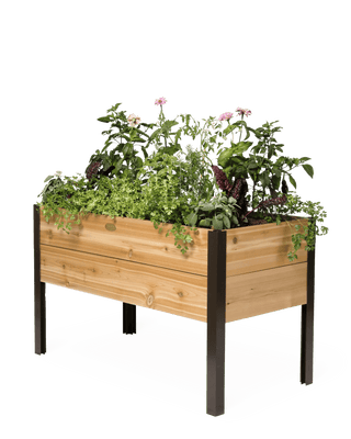 Elevated Cedar Planter Box, 2' x 4'