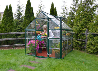 Canopia® by Palram Harmony™ Greenhouse, 6'