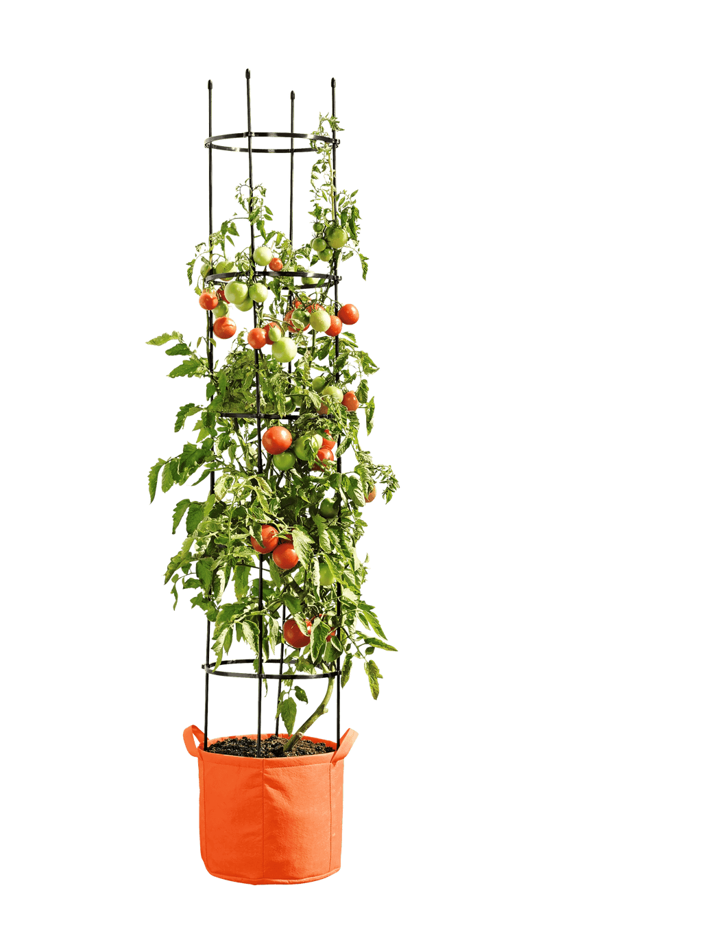 peat planter pots Pulp Pot (7 Gal) main image 1