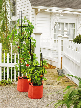 Gardener's Best® Tomato Grow Bag Set