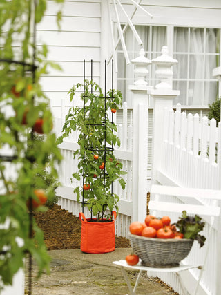 Gardener's Best® Tomato Grow Bag Set