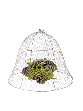 Chicken Wire Cloche