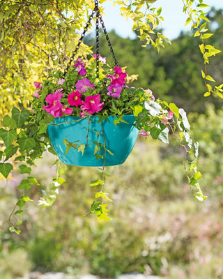 Viva Self-Watering Hanging Basket, 11" Diameter