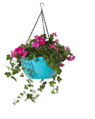 Viva Self-Watering Hanging Basket, 11" Diameter