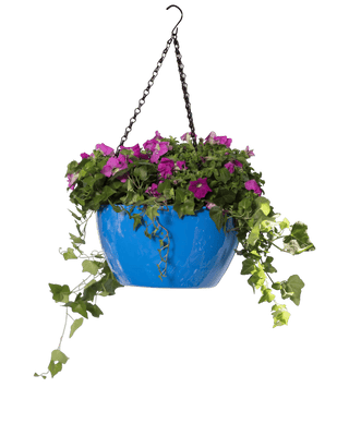 Viva Self-Watering Hanging Basket, 11" Diameter