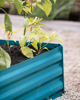 Demeter Corrugated Metal Raised Bed, 34" x 68" (12" D)