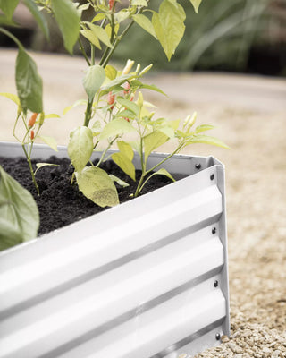 Demeter Corrugated Metal Raised Bed, 34" x 68" (12" D)