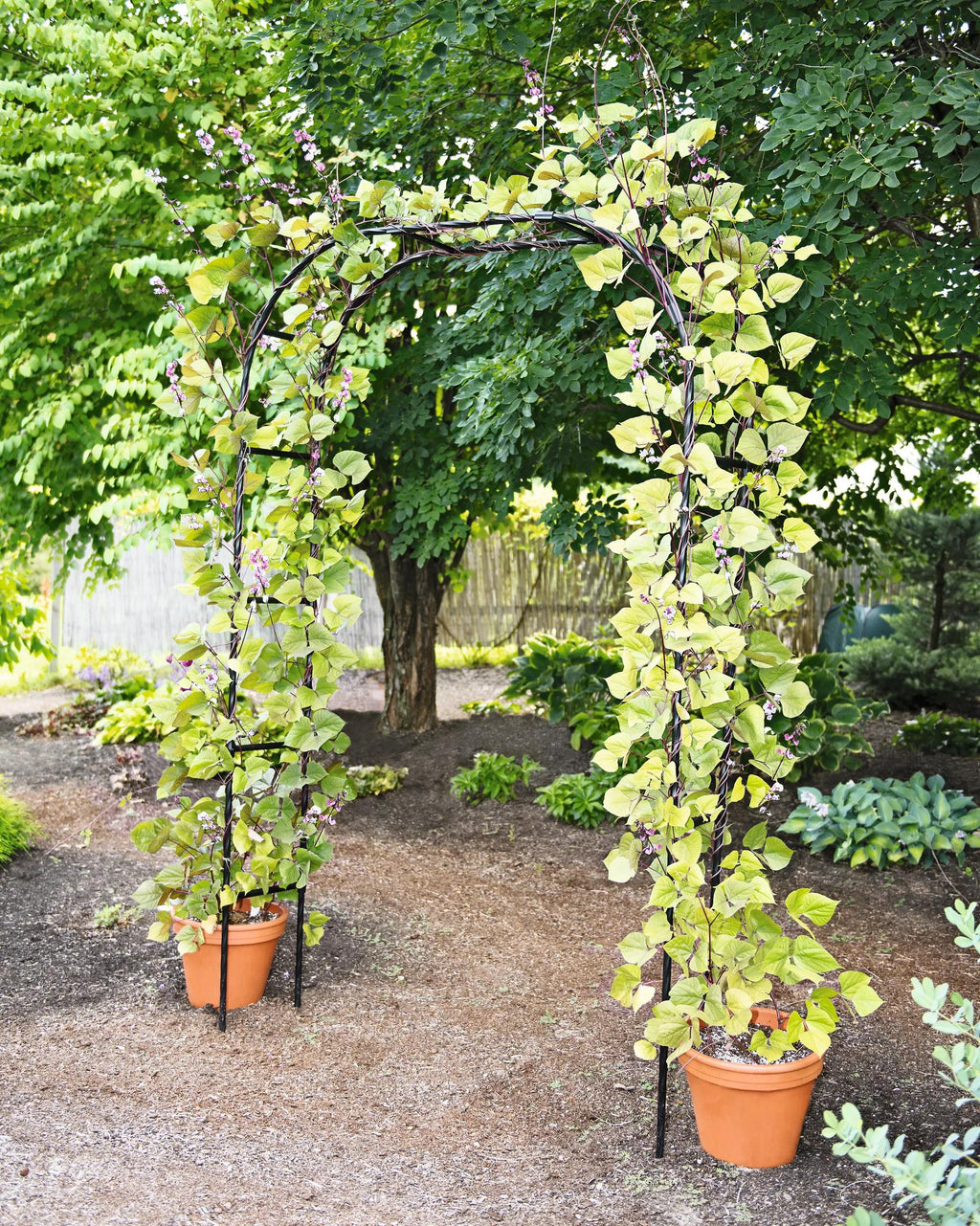 arch plant trellis Titan Garden Arch - 7' Tall Black Metal