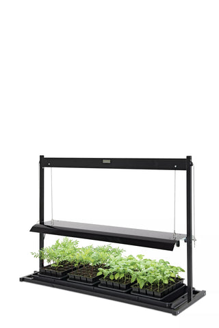 LED SunLite®  Tabletop Garden