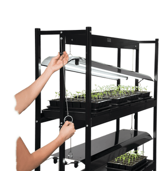 LED SunLite®  Tabletop Garden