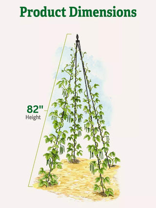 Titan Teepee Trellis