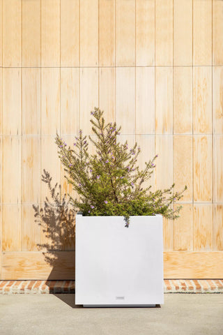 Veradek Plastic Series Cube Planters