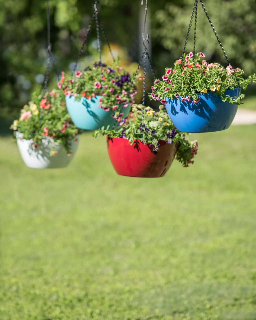 hanging flower plant Viva Colorful Self-Watering Hanging Flower Basket