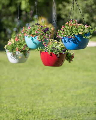 Viva Self-Watering Hanging Basket, 14" Diameter