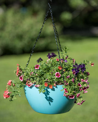 Viva Self-Watering Hanging Basket, 14" Diameter