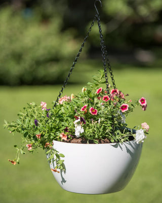 Viva Self-Watering Hanging Basket, 14" Diameter