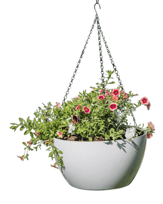 Viva Self-Watering Hanging Basket, 14" Diameter