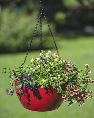 Viva Self-Watering Hanging Basket, 14" Diameter